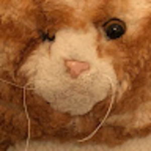 Meet your Posher, Datfatcat